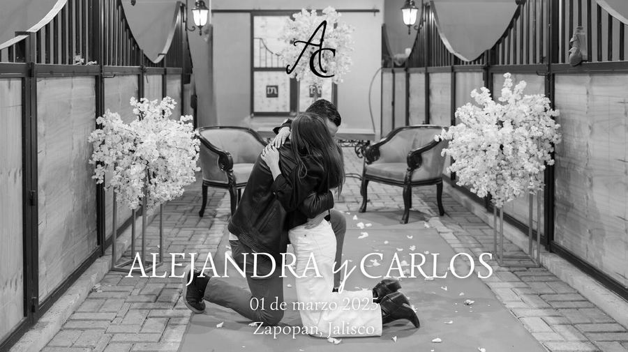 Sitio de boda de Ale & Carlos